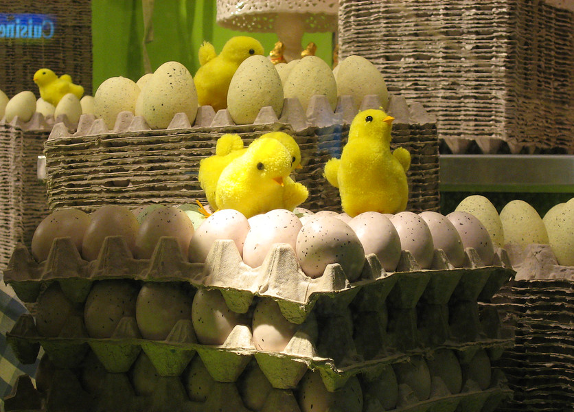 <em>Very</em> spoiled eggs