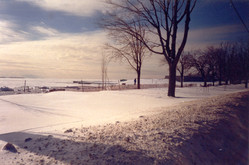 Winter shore