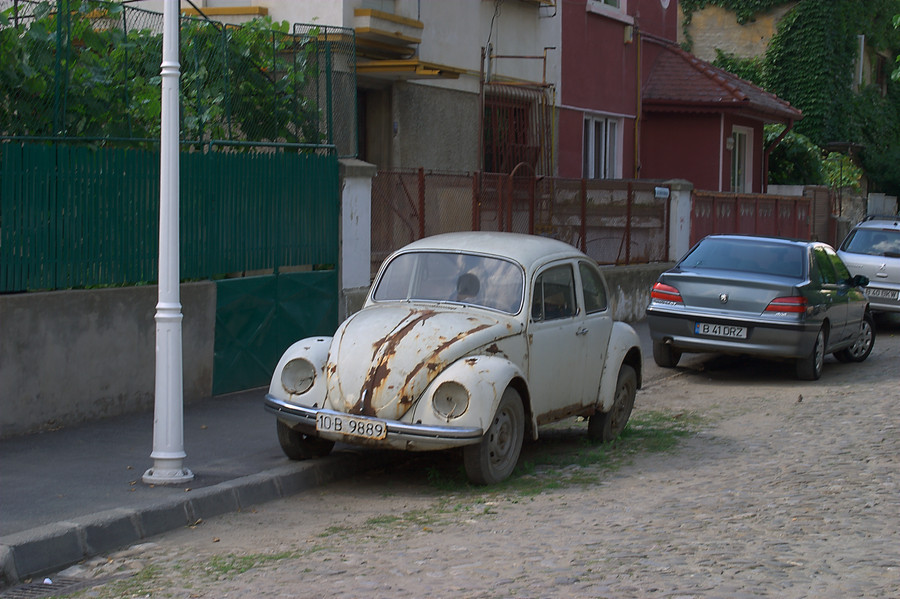 Old bug