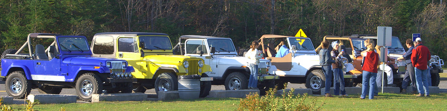 Jeeps in a row