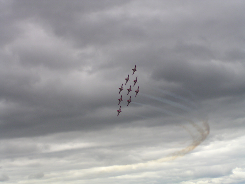 Flock of Snowbirds